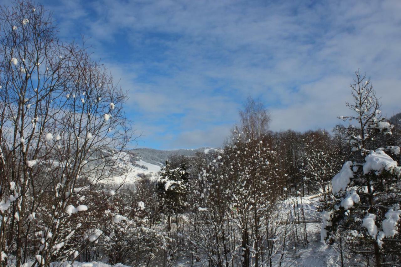 Appartement Schoenfeld Saalbach-Hinterglemm Dış mekan fotoğraf